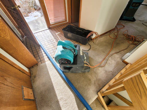 Best Mold removal after water damage  in Cleveland, TX