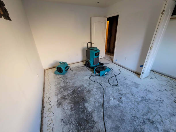 Best Water damage restoration near me  in Cleveland, TX