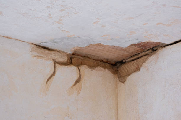 Best Water damage contractors near me  in Cleveland, TX