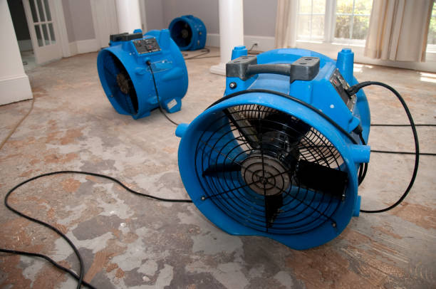 Best Basement water damage restoration  in Cleveland, TX